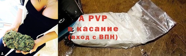 эйфоретик Богданович