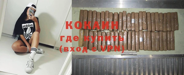 шишки Богородск