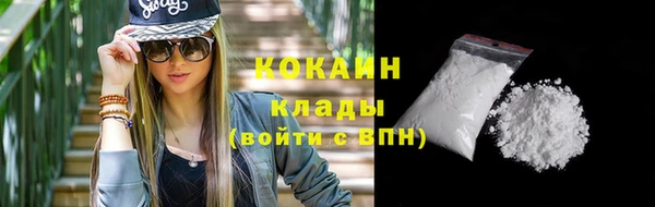 шишки Богородск