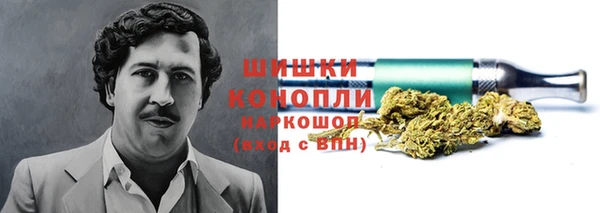эйфоретик Богданович