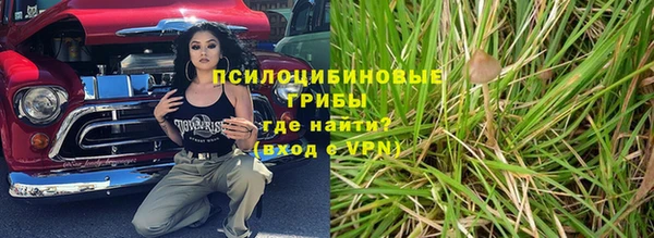 шишки Богородск