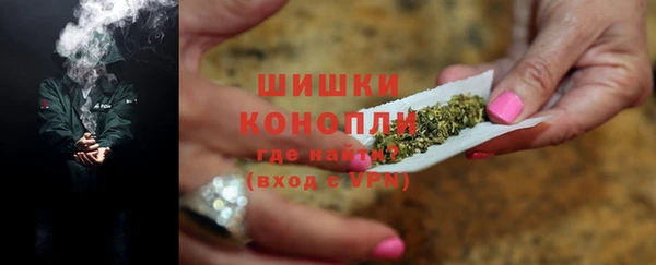 шишки Богородск