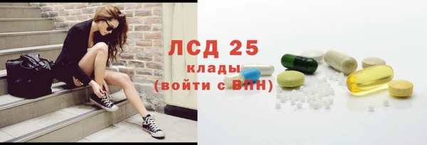 эйфоретик Богданович