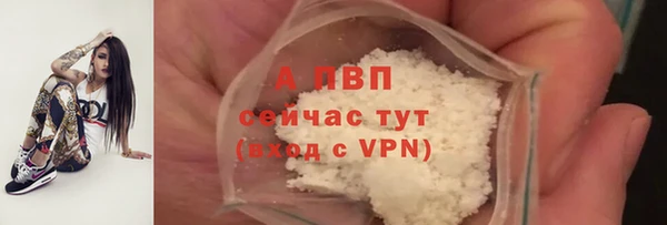 шишки Богородск