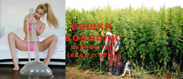 эйфоретик Богданович