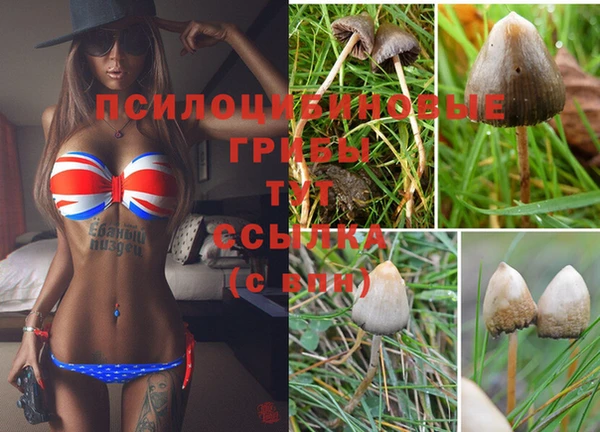 шишки Богородск