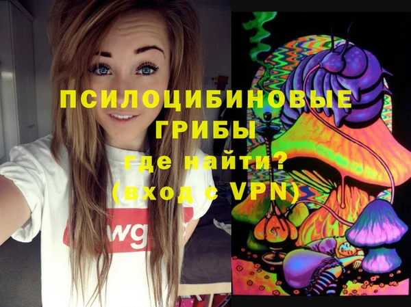MDMA Premium VHQ Богородицк